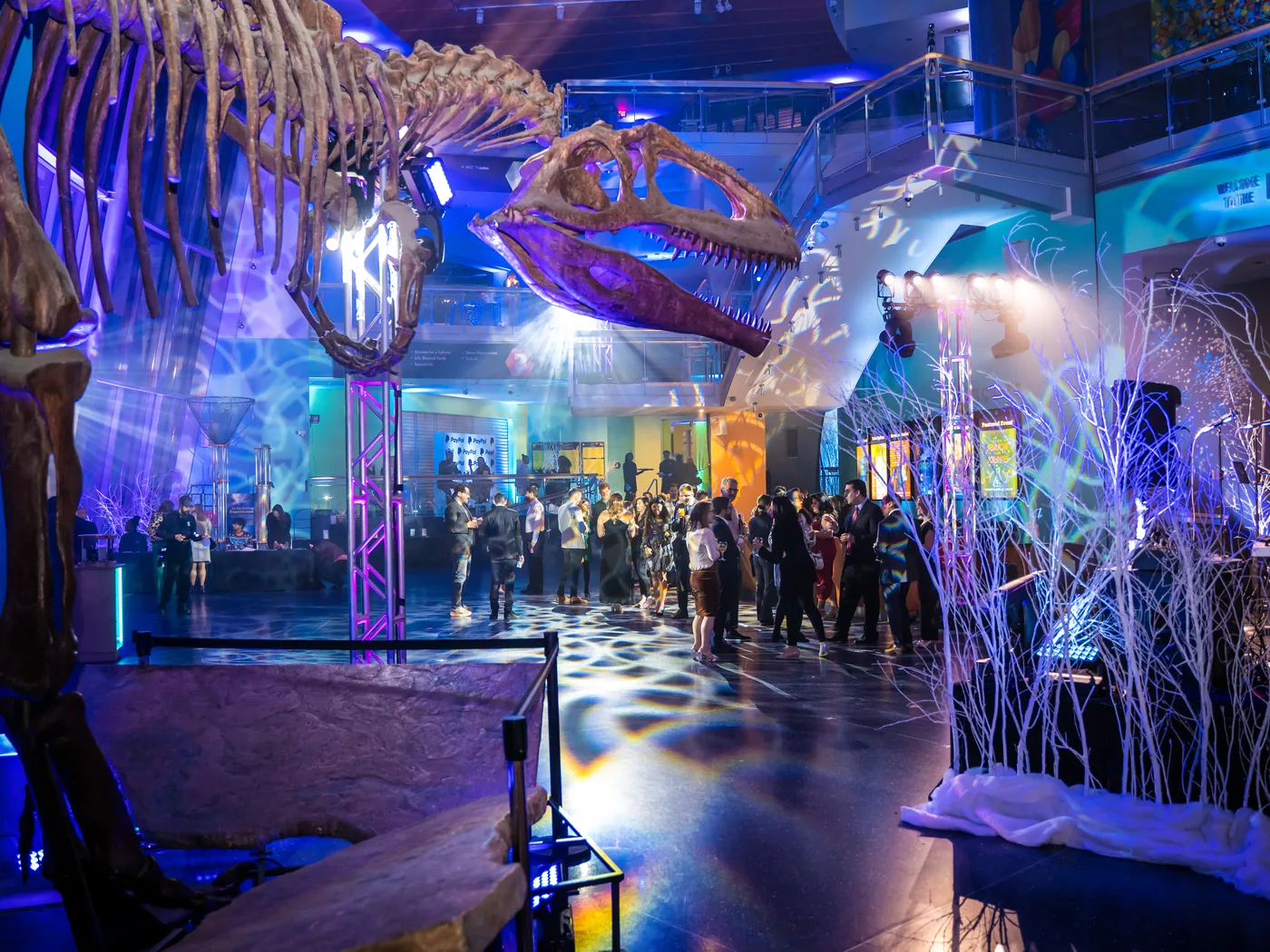 Gobo projection, uplighting, and truss-mounted moving lights over a reception beneath the dinosaur skeleton at the Maryland Science Center in Baltimore by EventPro