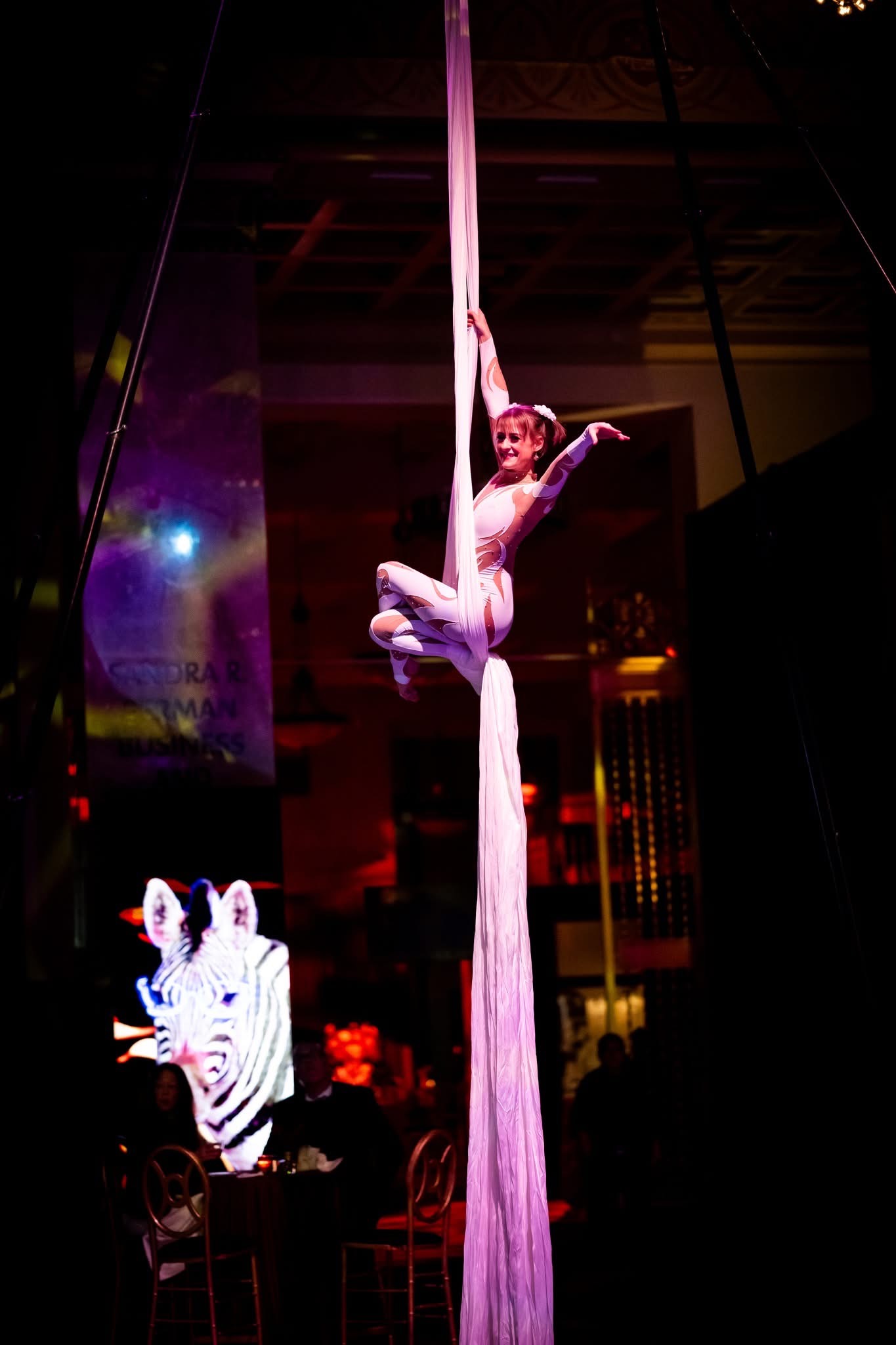 Aerial silks artist seated in fabric against a zebra-patterned LED panel, Pratt Contemporaries Black and White Party, entertainment by EventPro Maryland
